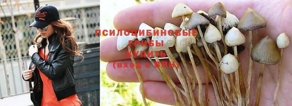 apvp Абдулино